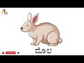 ಸಾಕು ಪ್ರಾಣಿಗಳು ಹೆಸರುಗಳು ಕನ್ನಡದಲ್ಲಿ domestic animals name in kannada