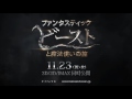 映画『ファンタスティック・ビーストと魔法使いの旅』魔法動物たちが登場する特別映像