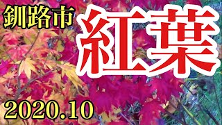 紅葉を少しだけご覧ください 北海道釧路市 2020.10