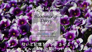 匂いと記憶をリンクさせるプルースト効果について| Interest in bloom｜Blooming Days -日々是好日-｜倉嶋桃子｜Learning Japanese