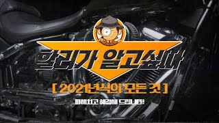 할리데이비슨 2021년 라인업 공개 및 구매 추천영상