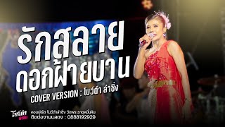 รักสลายดอกฝ้ายบาน+มักผัวเขา - โบว์ดำ ลำซิ่ง : คอนเสิร์ต์ลำซิ่ง วัดพระธาตุหมื่นหิน จ.กาฬสินธุ์