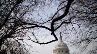 El Congreso rechaza la declaración de emergencia de Trump