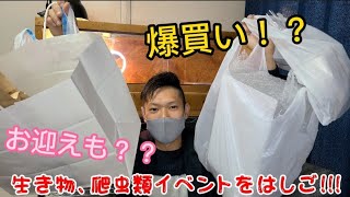 爬虫類イベントをはしご！？爆買い！！お迎えも？？【アクアリウムバス】【エキゾチックレプタイルエキスポ】【aquarium bus】【exotic reptile expo】【爬虫類イベント】