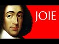 LE ROMAN D'UNE VIE - SPINOZA