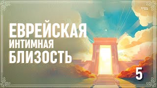 5️⃣ Еврейская Интимная Близость #тора