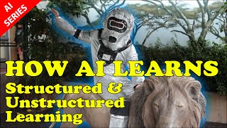 How AI Learns - Structured and Unstructured Data