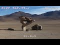 11【ボリビア　アルティプラーノ】altiplano in bolivia（アタカマ越え・ウユニ塩湖・ラグナコロラダ・ペリカン）（世界の絶景４）