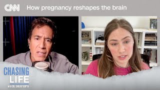 How pregnancy reshapes the brain | Chasing Life