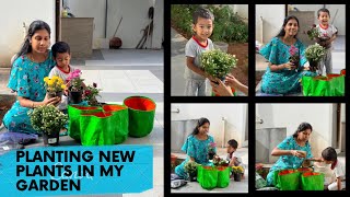 My garden update// Buying some plants 🪴// எங்க வீட்டுத்தோட்டம் பார்க்கலாம் வாங்க |