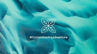 Committed To Adventure | As If You Hadn't Walked There