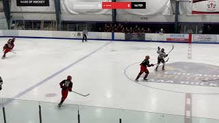 LHA 14U AA VS  Jr  Canes 20250118