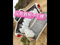 山西高平北诗环保志愿者绿化荒山义务栽树1000棵