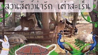 สามนา  |  เต่าสะเร็น  Mini Zoo  จังหวัดสุรินทร์