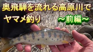 岐阜県奥飛騨を流れる高原川でヤマメ釣り 前篇