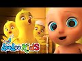 🐤Little Chicks | Funny KIDS Songs with Johny Johny | LooLoo KIDS Nursery Rhymes