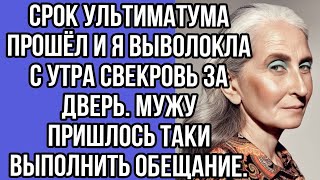 срок ультиматума прошёл и я выволокла с утра свекровь за дверь. мужу пришлось таки выполнить...