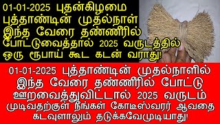 01-01-2025 புதன்கிழமை புத்தாண்டின் முதல்நாள் இந்த வேரை தண்ணீரில் ஊறவையுங்கள்!|vetiver pariharam