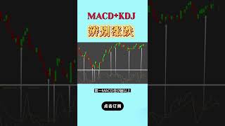 MACD+KDJ辨别涨跌4大口诀#shorts