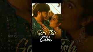 gold fish song #goldfish #goldenstarganesh #shortvideo #banglore