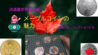 🍁メイプルコインの魅力🍁【流通量最大級】【地金型コイン】#金価格 #金貨 #銀貨