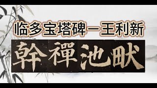 王利新书法练字临帖颜真卿多宝塔碑 Lixin Wang Doing Chinese Calligraphy Duo Bao Ta