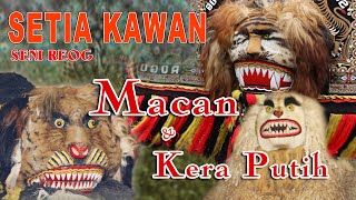 Reog Setia Kawan - Macan & Kera Putih | Kesenian Tradisional