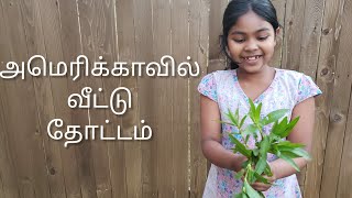 அமெரிக்காவில் வீட்டு தோட்டம் | Garden at home in America / 3D Playhouse | USA Tamil Vlog