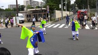 笑in若林（ひのよさこい2012・昼の流し）