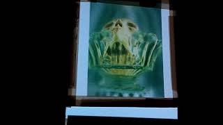 skull integral image