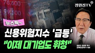 [뉴스픽] 신용위험지수 '급등'...\