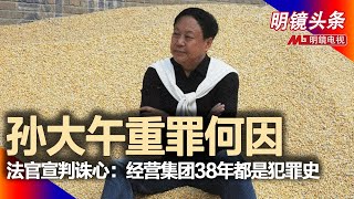 孙大午遭遇抄家式判决，亿万富翁求饶：放过亲友同事；法官陈词诛心中国农村理想者的乌托邦梦，经营集团38年都是犯罪史；孙大午和任志强的下场异同，民营企业家心存的侥幸｜明镜头条（20210729）