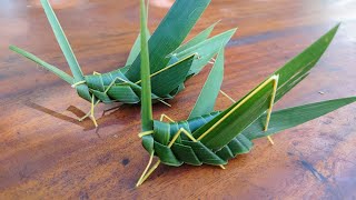 วิธีพับตั๊กแตนจากใบมะพร้าว How to Make   Coconut Leaf Grasshopper