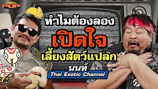 พลาดไหมถ้ายังไม่เคยเลี้ยงสัตว์ Exotic | พรีวิวPOP