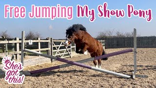 FREE JUMPING My 11hh Mare | Lilpetchannel