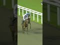 Odds-on favourite Concorde beaten in dramatic circumstances at Chelmsford