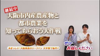 【大阪成蹊大学】産官学連携～なにわの伝統野菜に認証された大阪黒菜のリーフパンを共同開発！～／経営学部　食ビジネスコース