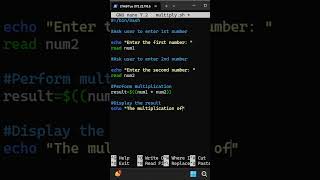 Linux Bash Script Basics Shell Scripting #linux #bash #coding