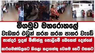 මීගමුව මහරොහලේ | වැඩකර එවුන් කරන කරන පාහර වැඩේ බෙහෙත් දෙන්නේ කාර්යමණ්ඩලයේ අයට