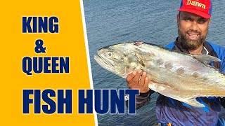 കടലിലെ രാജാവും രാജ്ഞിയും ചൂണ്ടയിൽ ......KING \u0026 QUEEN FISH HUNT @ UAE SHORE