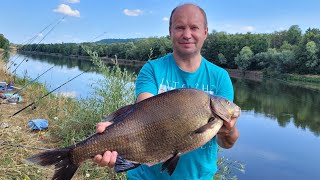 🦆🐦поют, 🐟🐠 клюют. Рыбачим во Франции. 200 км за крупным лещём.