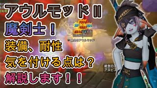 アウルモッド2  魔剣士  解説  装備  耐性  宝珠 立ち回り【ドラクエ10】スキル 概要欄に書いてます