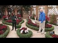 A Peek At Phipps Conservatory's Winter Flower Show