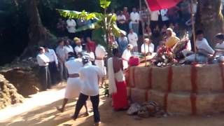 Coorg Kudiyada bolkat bettathoor village