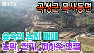 [전남토지매매] #1610 곡성군 목사동면 농막, 전기, 지하수 연결된 5,101㎡ (1,543평) 접슨성 좋은 숲속의 농지 매매