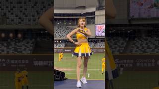 20240706 中信兄弟 波波 兄弟精神 #cpbl #fancam