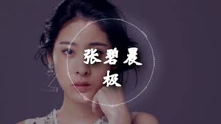 【HD高清音质】 张碧晨  - 《极》 动态歌词版本