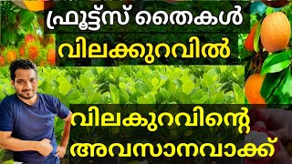 ഹോൾസെയിൽ വിലയിൽ  എല്ലാ പ്ലാന്റുകളും ഡെലിവറി സൗകര്യത്തോടുകൂടി🔥🔥🔥