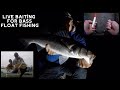 LIVE BAIT FISHING FOR BASS | BASS FISHING AT NIGHT | BAIT COLLECTING | CI FISHING JERSEY | BRANZINO