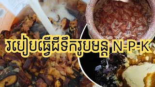 រូបមន្តផលិតជីទឹក N-P-K ដោយខ្លួនឯងឯង ចំណាយតិចបំផុត គុណភាពខ្ពស់ មិនប៉ះពាល់សុខភាព